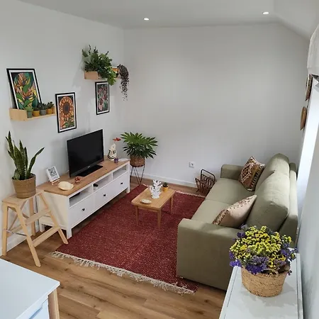 Apartment Casa Dos Zes